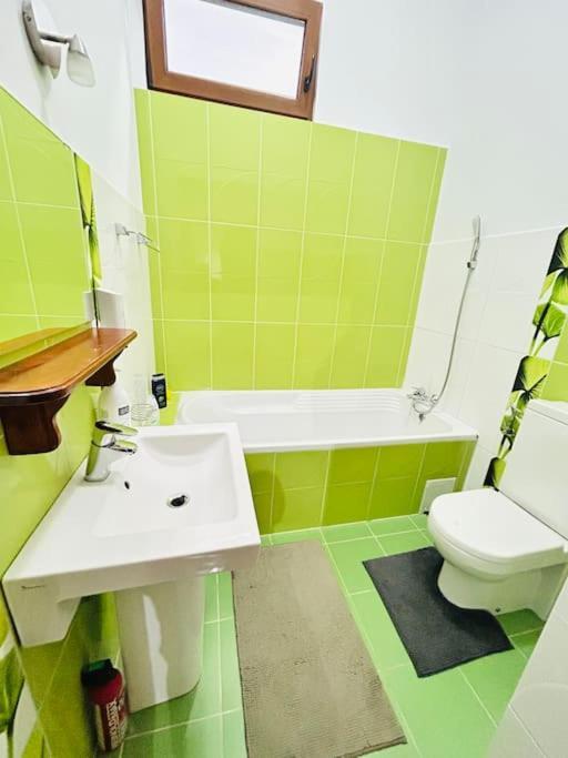 Hidden Gem In The Old Town Apartment Timisoara Luaran gambar