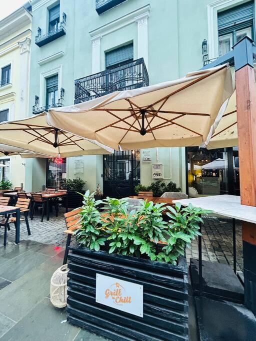Hidden Gem In The Old Town Apartment Timisoara Luaran gambar