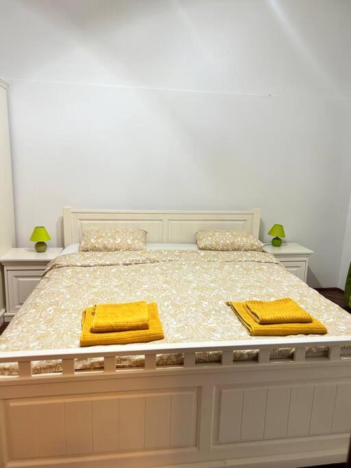 Hidden Gem In The Old Town Apartment Timisoara Luaran gambar