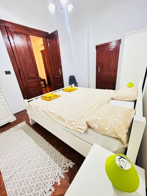 Hidden Gem In The Old Town Apartment Timisoara Luaran gambar