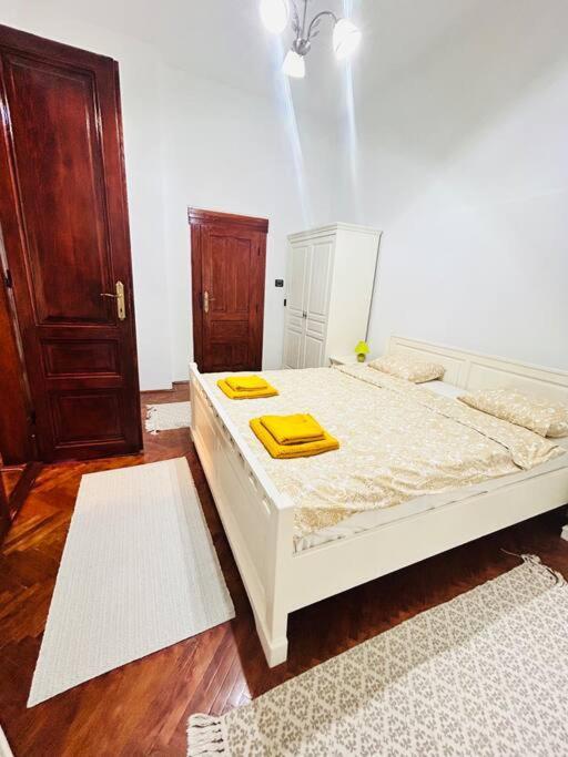 Hidden Gem In The Old Town Apartment Timisoara Luaran gambar