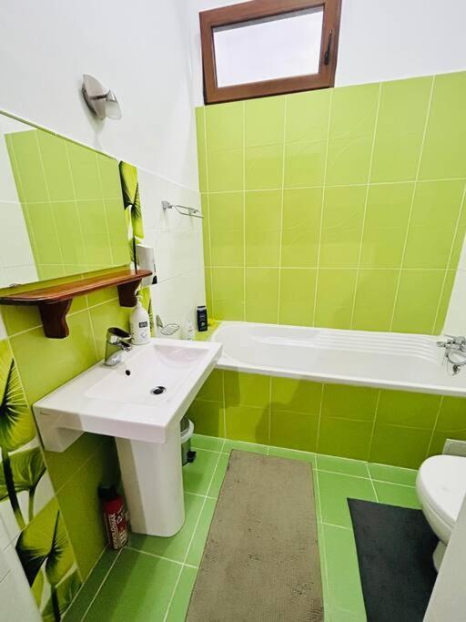 Hidden Gem In The Old Town Apartment Timisoara Luaran gambar